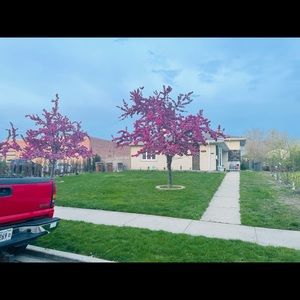 Meet your Posher, Cecilia